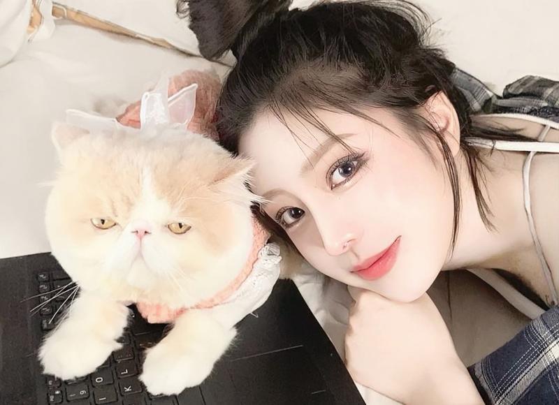 和谐社会与小康对句子精选377句