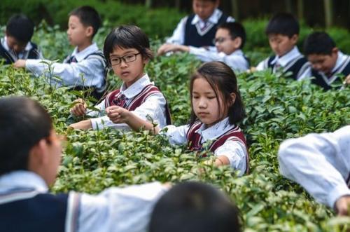 2025年简洁的人生哲理句子集合30条