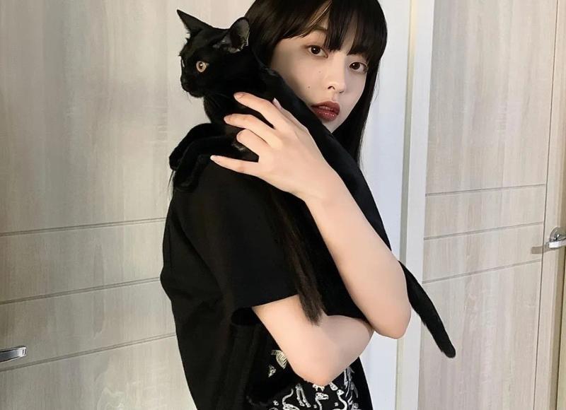 夫妻情话最暖心短句文案总汇96条 夫妻情话最暖心短句文案总汇96条