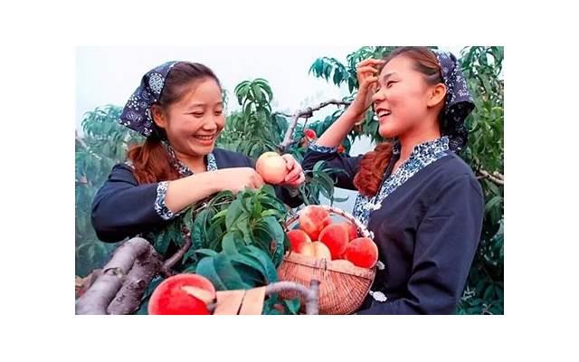 有关秋叶的句子精选12句 有关秋叶的句子精选12句