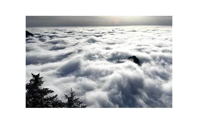 抖音歌词语录短句有山整理70条 抖音歌词语录短句有山整理70条