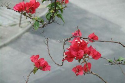 ​qq性签名英文伤感