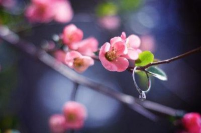 ​2024女生微信伤感签名(精选90句)