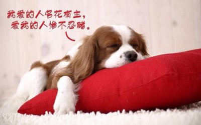 ​qq签名情侣伤感39句