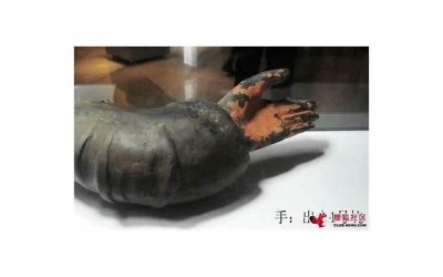 ​12星座套路情话（骆驼祥子第八章读书笔记好词好句摘抄）