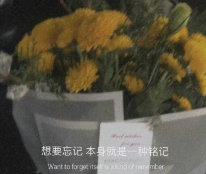 2025抖音经典语录