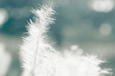 ​图书馆爱护书籍的宣传标语