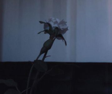 ​伤感的古风句子 古风伤感句子