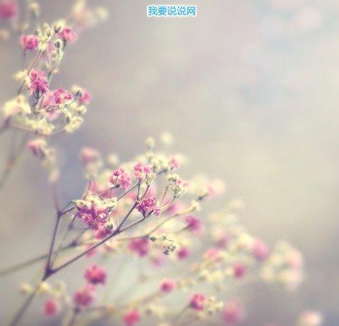 关于忍耐的哲理语录