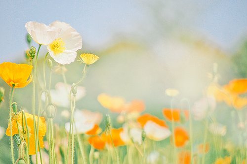 独木舟深海经典语录81句