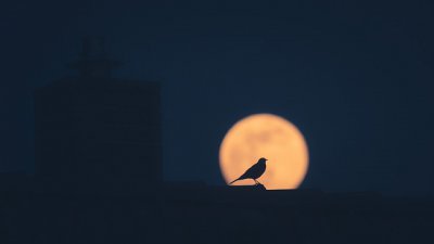 ​不想面对想逃避的说说103句