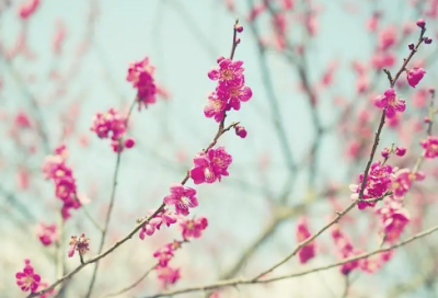 ​发朋友圈很无奈的句子(实用93句)