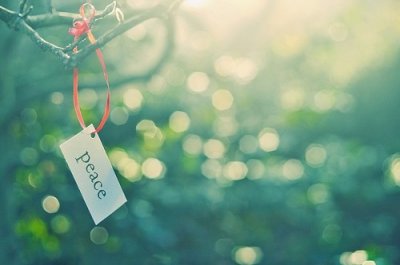 ​情侣爱情宣言80句