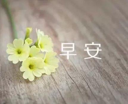 2025年常用心情伤感句子摘录59条