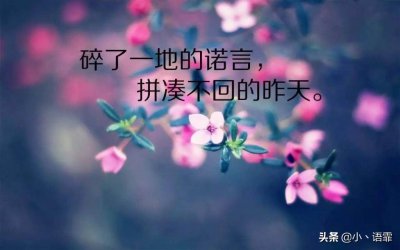 唯美句子积累 ，经典入心，百看不厌