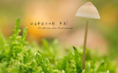 ​微信说说 2022圣诞节朋友圈文案