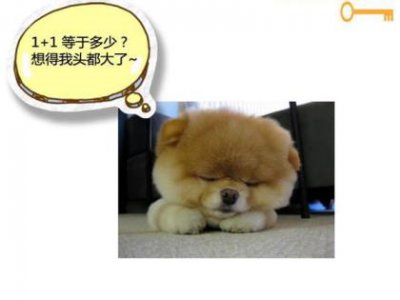 ​经典句子生活哲理的句子