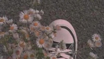 ​没有文案就是最好的文案(花式朋友圈)