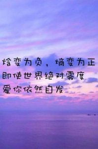 ​执着的爱的句子