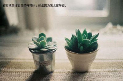 ​2025抖音支撑你走了很远的励志句子文案