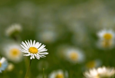 1710845035209865.png image.png