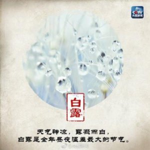 ​情话最暖心句子20个字