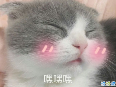 ​抖音里撩人的语录超甜最新 小猪佩奇你配我