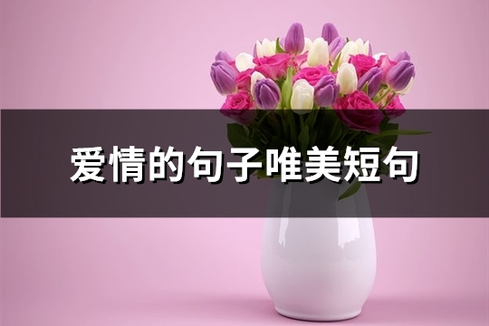 爱情的句子唯美短句(必备91句)