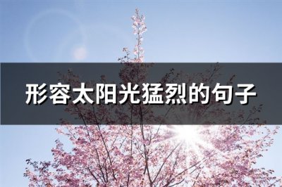 ​形容太阳光猛烈的句子(通用86句)