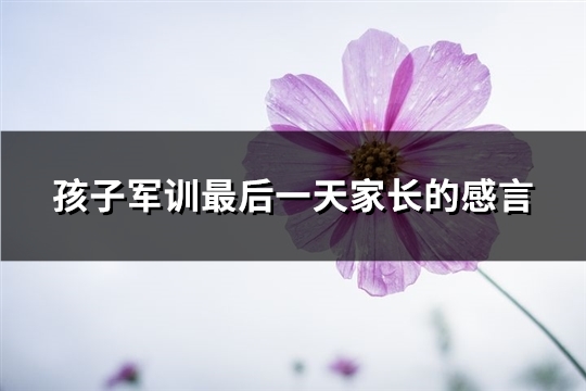 孩子军训最后一天家长的感言(通用72句)