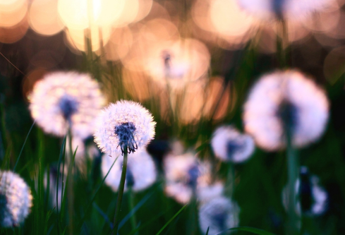1702272882894641.png image.png