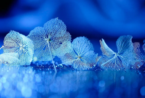 1702399696392525.png image.png