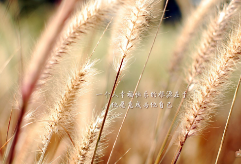 1710957569817680.png image.png