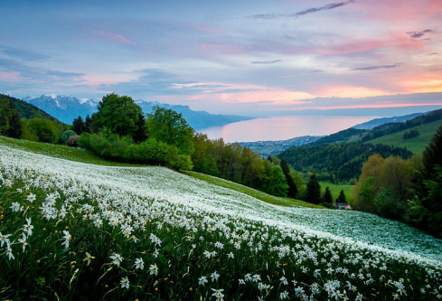 1702394893101999.png image.png
