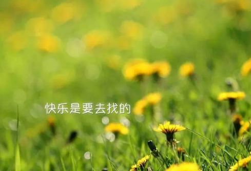 1710966207935118.png image.png