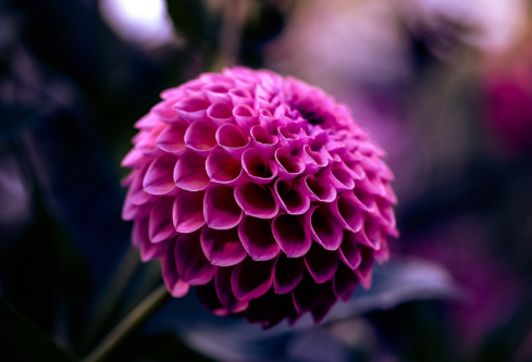 1710988466784820.png image.png