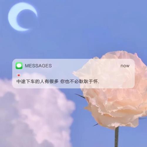 关于最美的友情句子