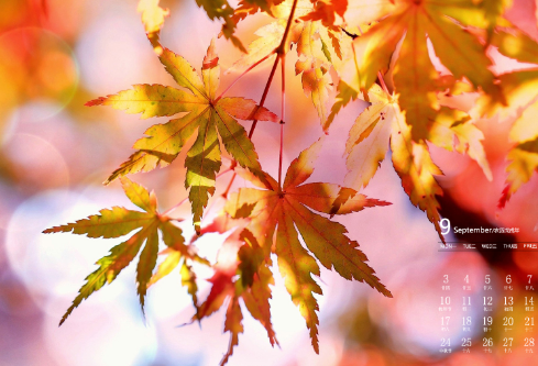 1688408826675392.png image.png
