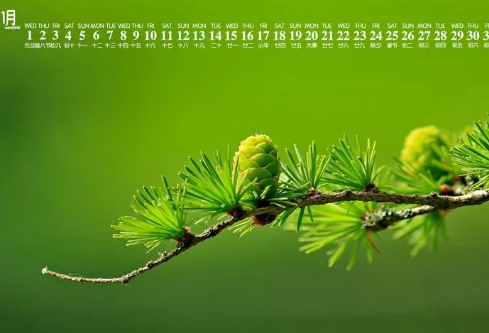 1692715783219392.png image.png