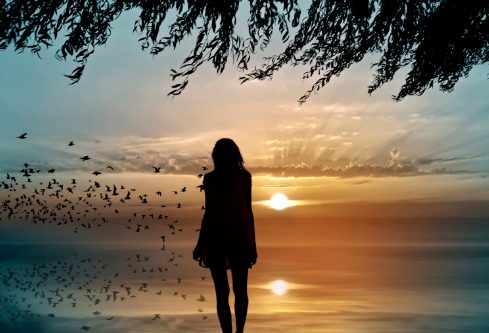 1689584100690100.png image.png