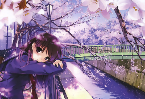 1689587252112967.png image.png