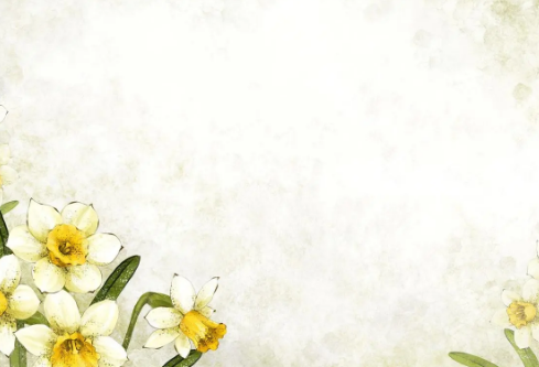 1691670543105991.png image.png