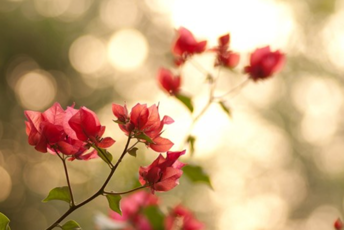 1691670618635019.png image.png