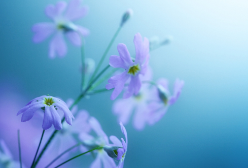 1691676524683947.png image.png