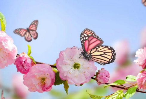 1691678044230564.png image.png