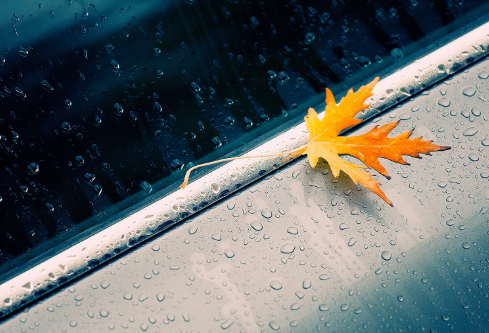 1691679237305654.png image.png