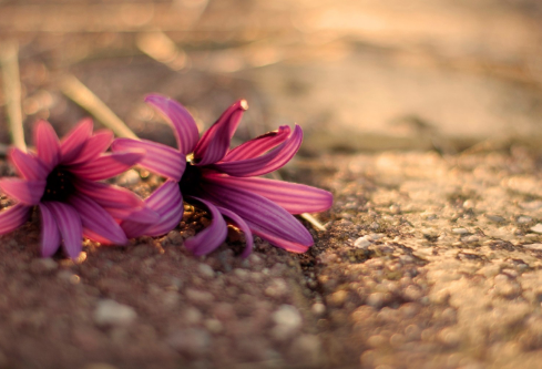 1691679833133983.png image.png