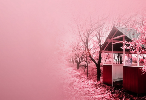 1691680437931379.png image.png