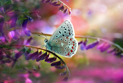 1691680636700987.png image.png