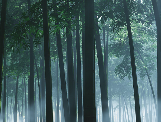 1691683431116271.png image.png